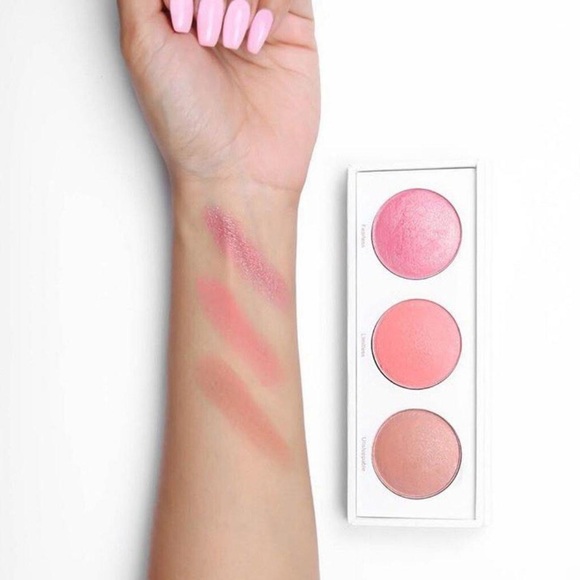Blush Trio Palette - Picture 3 of 6